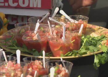 'Best of the Region' event hosted at Riva in West Haven