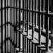 20-year-old inmate charged with Hartford murder, dies of Influenza B: DOC