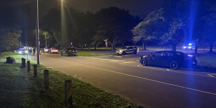 33-year-old man shot several times near Edgewood Park in New Haven, police investigating