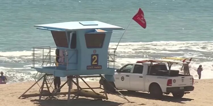 California lifeguard invited to White House after Trump sees viral rescue video
