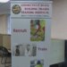 6 incarcerated women graduate from trades institute at York Correctional