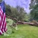 Outages, trees down as strong storms move through Connecticut