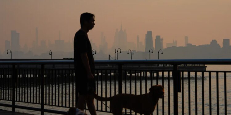 Wildfire smoke kills tens of thousands of people a year. Here's how it attacks the body