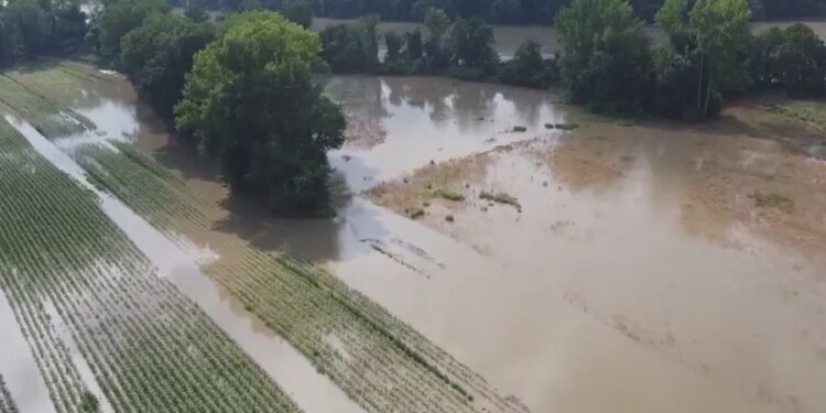 Connecticut farms to receive $52M for severe weather losses. Who qualifies?