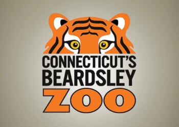 Connecticut's Beardsley Zoo employee evaluated at hospital after lightning strikes area