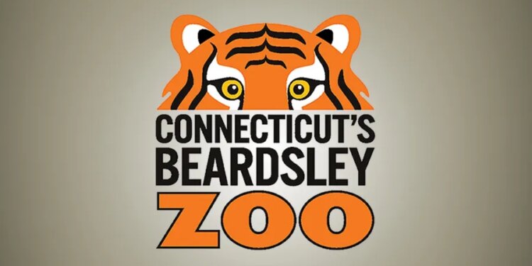 Connecticut's Beardsley Zoo employee evaluated at hospital after lightning strikes area