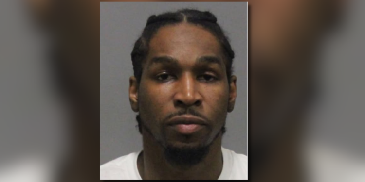 Convicted felon arrested on gun charges after fleeing from West Haven police