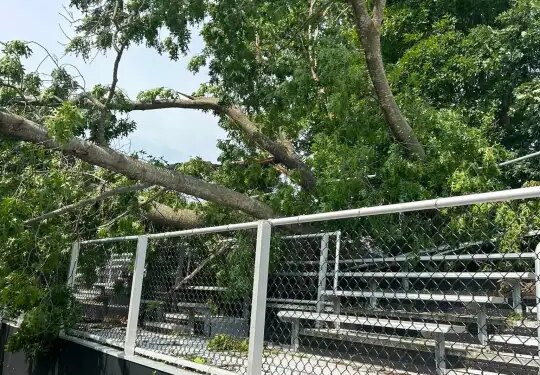 Crews clean up debris, trees in Torrington following severe weekend storms