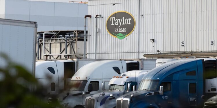 FDA says Taylor Farms cyclospora finding was a false positive, investigation continues