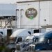 FDA says Taylor Farms cyclospora finding was a false positive, investigation continues