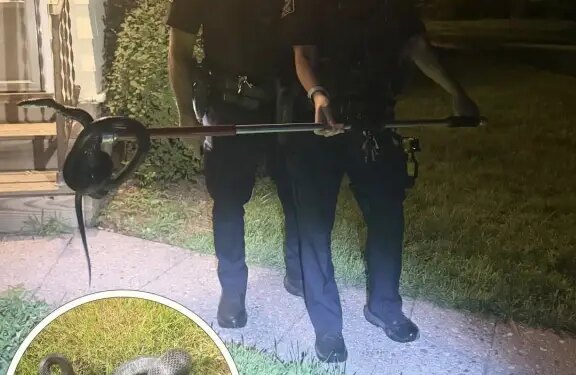 Granby police remove snake from family's bathroom