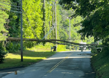 Hundreds of Eversource customers lose power after tree takes down wires in Tolland