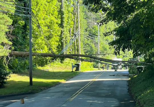 Hundreds of Eversource customers lose power after tree takes down wires in Tolland