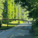 Hundreds of Eversource customers lose power after tree takes down wires in Tolland