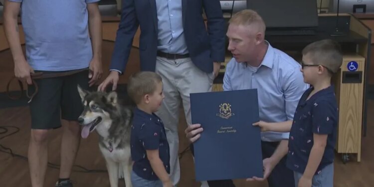 Husky honored for chasing bear away from 6-year-old boy in Torrington