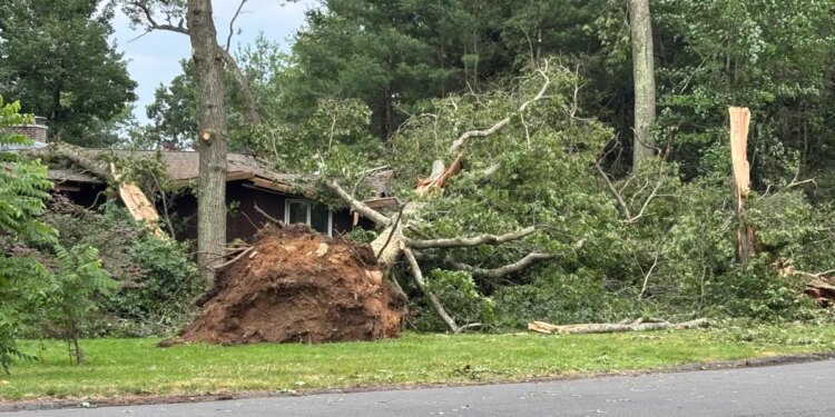 Storm damage leaves Bristol homes hit by trees, thousands without power across Connecticut