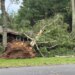 Storm damage leaves Bristol homes hit by trees, thousands without power across Connecticut