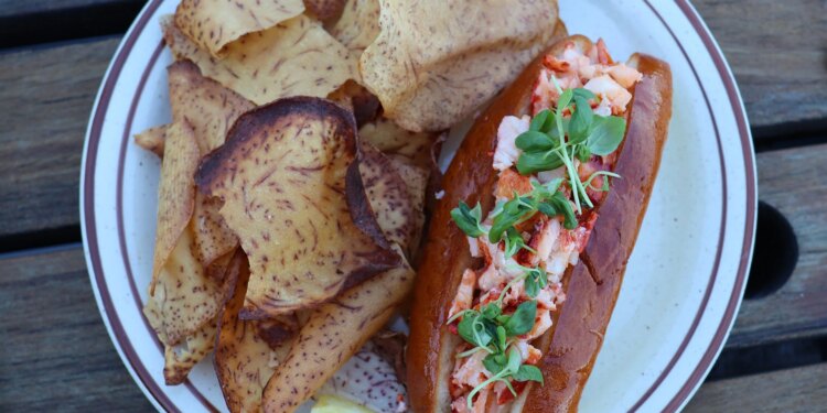 Phase Two: The Haven Opens Rooftop Restaurant + Bar in Norwalk