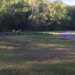 Man arrested, accused of trying to sexually assault two minors at Southbury state park