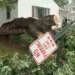 Lamont, other state officials visit towns hit hardest by Fourth of July storms