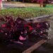Motorcycle driver, passenger suffer burns after crash in Marlborough