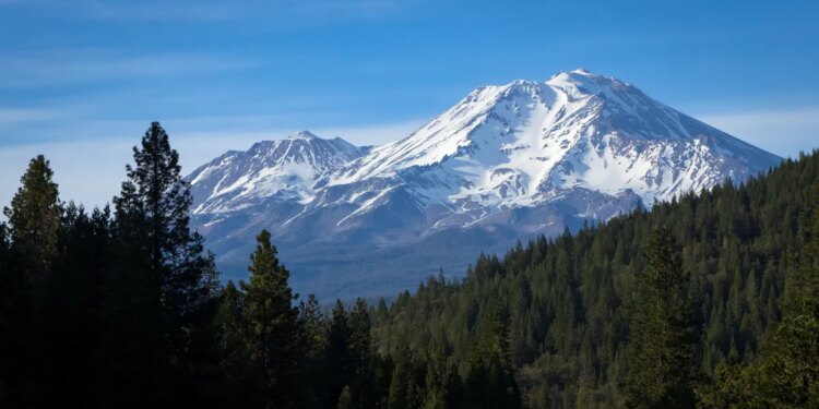 2 U.S. Forest Service employees rescued after being held hostage at gunpoint