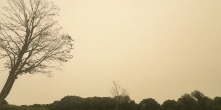 New Haven summer camps change outdoor plans as wildfire smoke continues