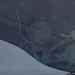 Newington police search for driver accused of striking police cruiser twice before fleeing