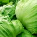 Taylor Farms recalls iceberg lettuce amid cyclosporiasis outbreak