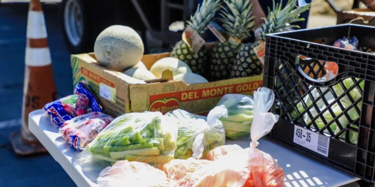 State funding, CitySeed to increase access to Connecticut-grown food