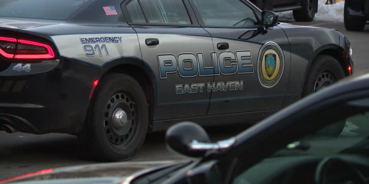 Teen arrested after purse snatching incident outside East Haven ShopRite