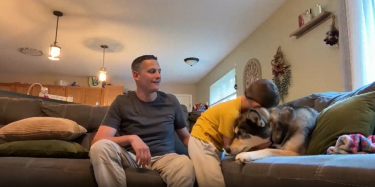 Torrington family says cub chased off by husky was likely neighborhood bear looking for food