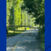 More than 300 Tolland residents without power amid dangerous heat