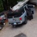 VIDEO: Black bear goes for snack run and snatches bag of peanuts from Riverton car