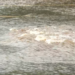 Water main break leaves more than 5,000 households in Waterbury without water