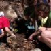 What's Right With Schools: Young campers connect with nature at Deep River day camp