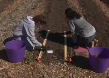 What's Right with Schools: Groton high school students support community by growing fresh food