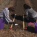 What's Right with Schools: Groton high school students support community by growing fresh food