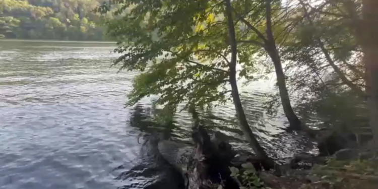 Teen rescued after jumping into Lake Zoar in Oxford: Officials