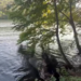 Teen rescued after jumping into Lake Zoar in Oxford: Officials