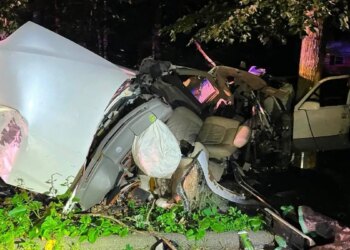 Driver has life-threatening injuries after crashing into trees in Wolcott: police