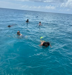 'It was like a huge dog bite': Niantic man recounts shark attack while snorkeling in the Bahamas