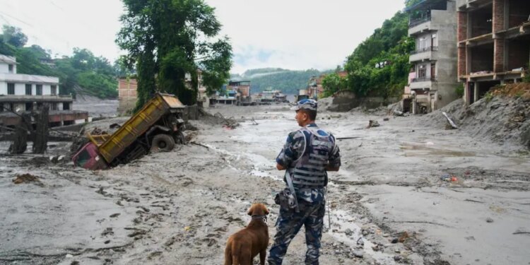 'Nepal cannot do it themselves': Berlin restaurant owner working to help Nepal flood victims