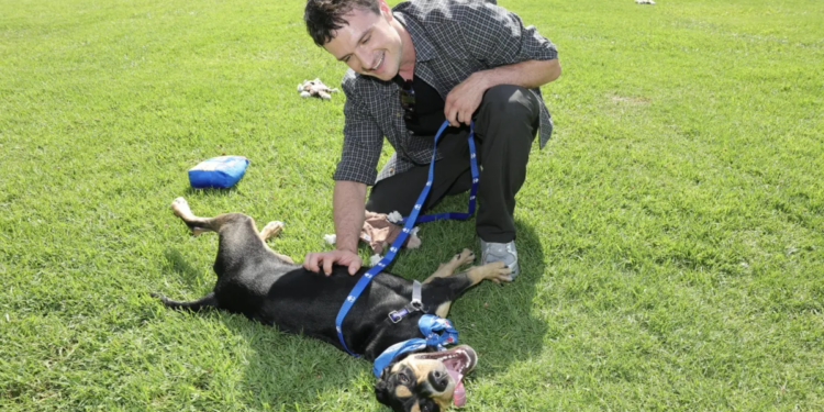 Actor Josh Hutcherson visits California animal shelter to promote adoptions