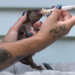4 newborn puppies survive after 6 found abandoned near trash bin at New Haven condo complex