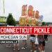 8 Things to Do: Connecticut Pickle Fest, Bridgewater Country Fair and more
