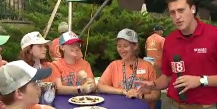 Annual Milford Oyster Festival returns for more summer fun