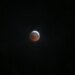 Blood moon lunar eclipse visible in Connecticut. Share your photos!