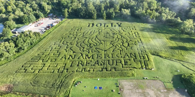 Brookfield corn maze honors Dolly Parton