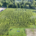 Brookfield corn maze honors Dolly Parton